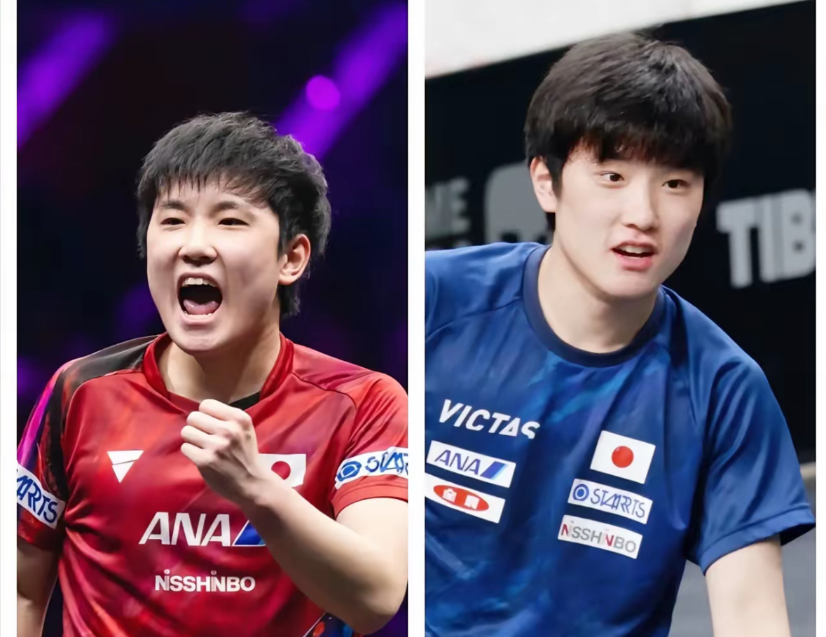 葡萄牙队完胜韩国队,张本智和统治全场的简单介绍 葡萄牙队完胜韩国队,张本智和统治全场的简单介绍